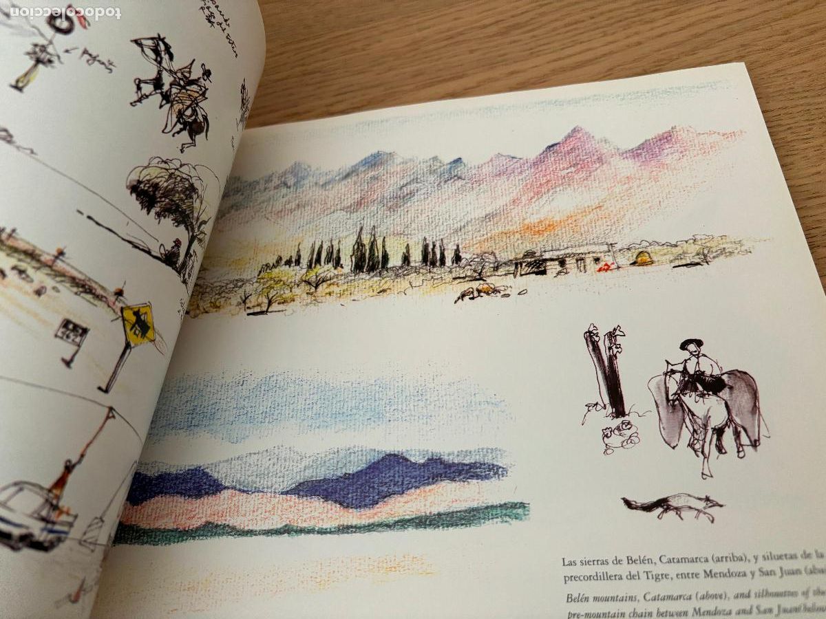 Libros de segunda mano: DIBUJANDO ARGENTINA - DRAWING ARGENTINA (RUSTICO) DE BELLUCCI ALBERTO - Foto 13