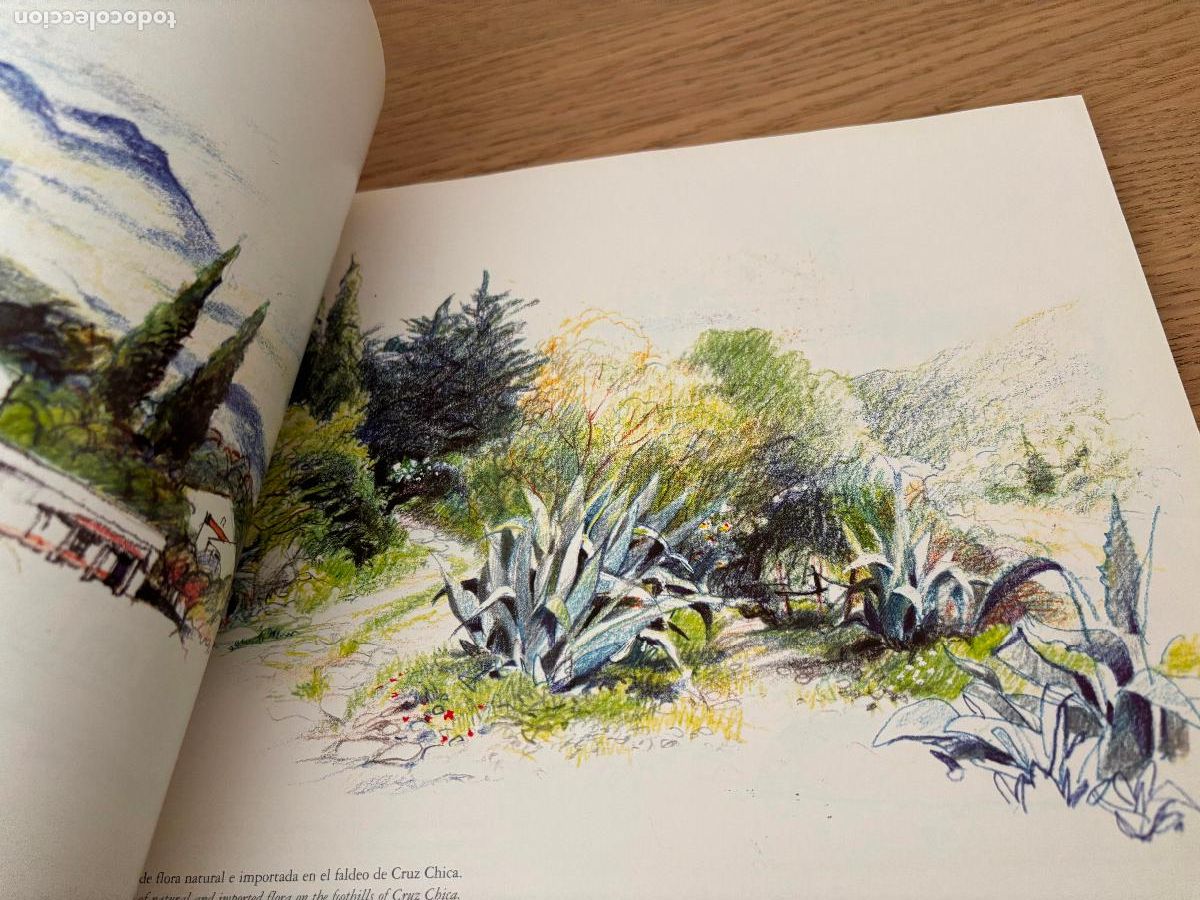 Libros de segunda mano: DIBUJANDO ARGENTINA - DRAWING ARGENTINA (RUSTICO) DE BELLUCCI ALBERTO - Foto 14