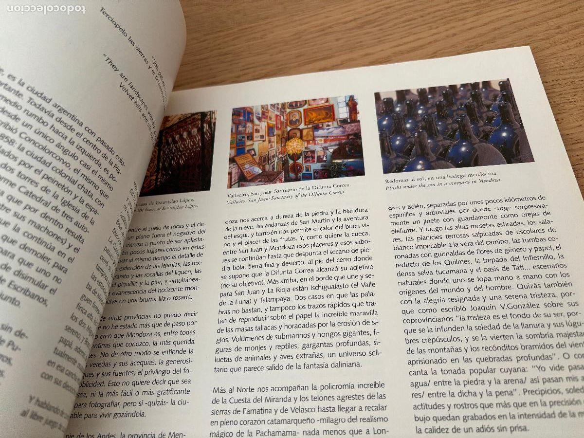 Libros de segunda mano: DIBUJANDO ARGENTINA - DRAWING ARGENTINA (RUSTICO) DE BELLUCCI ALBERTO - Foto 15