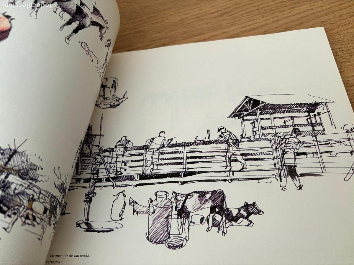 Libros de segunda mano: DIBUJANDO ARGENTINA - DRAWING ARGENTINA (RUSTICO) DE BELLUCCI ALBERTO - Foto 16