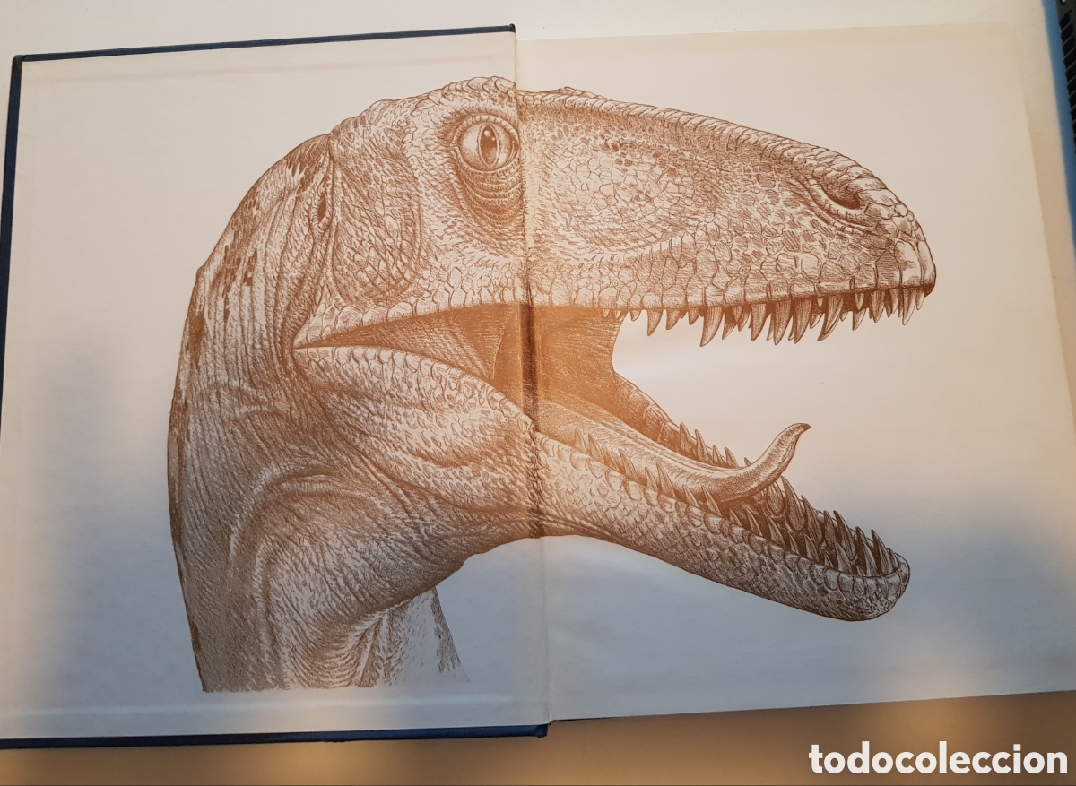 Libros de segunda mano: El mundo de los dinosaurios. David Norman, ediciones del Prado,1993. - Foto 4