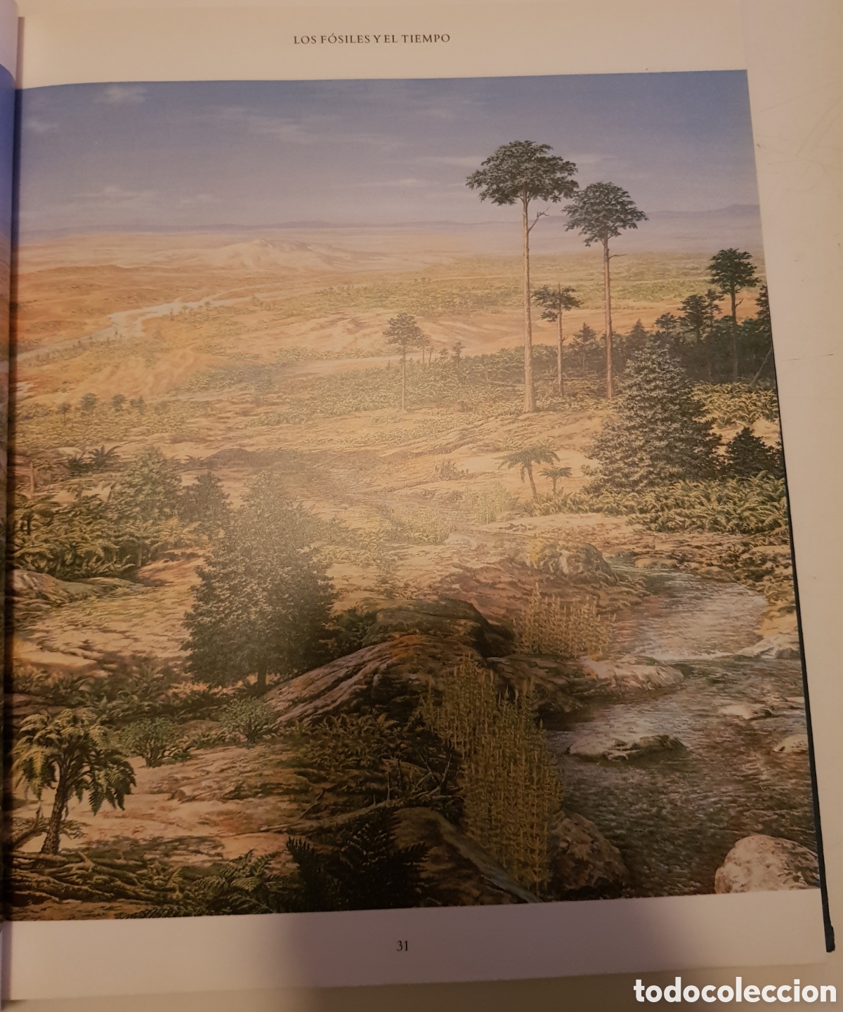 Libros de segunda mano: El mundo de los dinosaurios. David Norman, ediciones del Prado,1993. - Foto 9