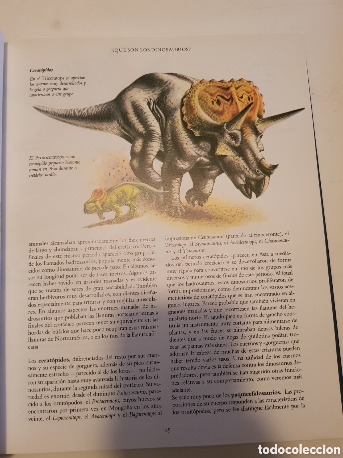 Libros de segunda mano: El mundo de los dinosaurios. David Norman, ediciones del Prado,1993. - Foto 10