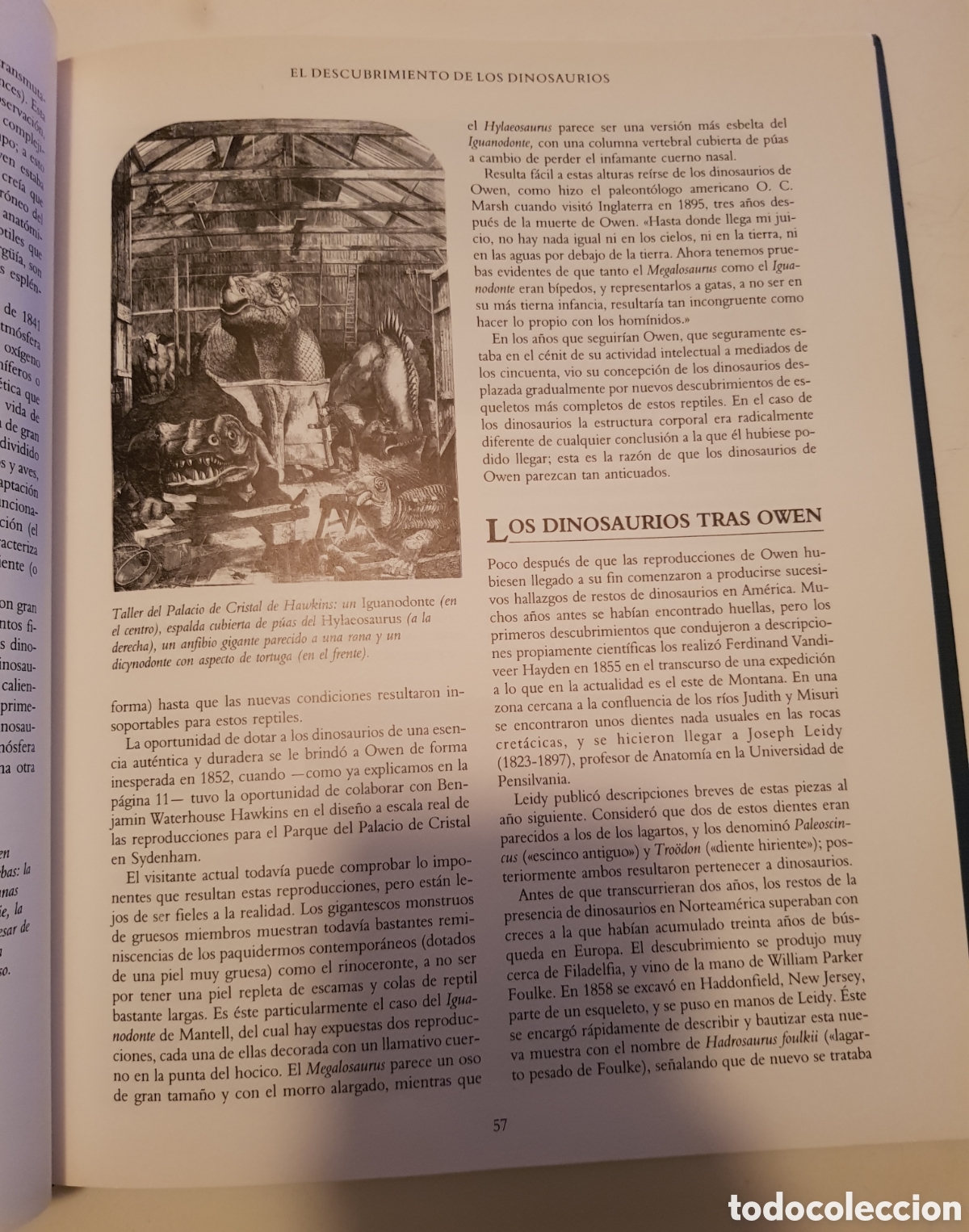 Libros de segunda mano: El mundo de los dinosaurios. David Norman, ediciones del Prado,1993. - Foto 11