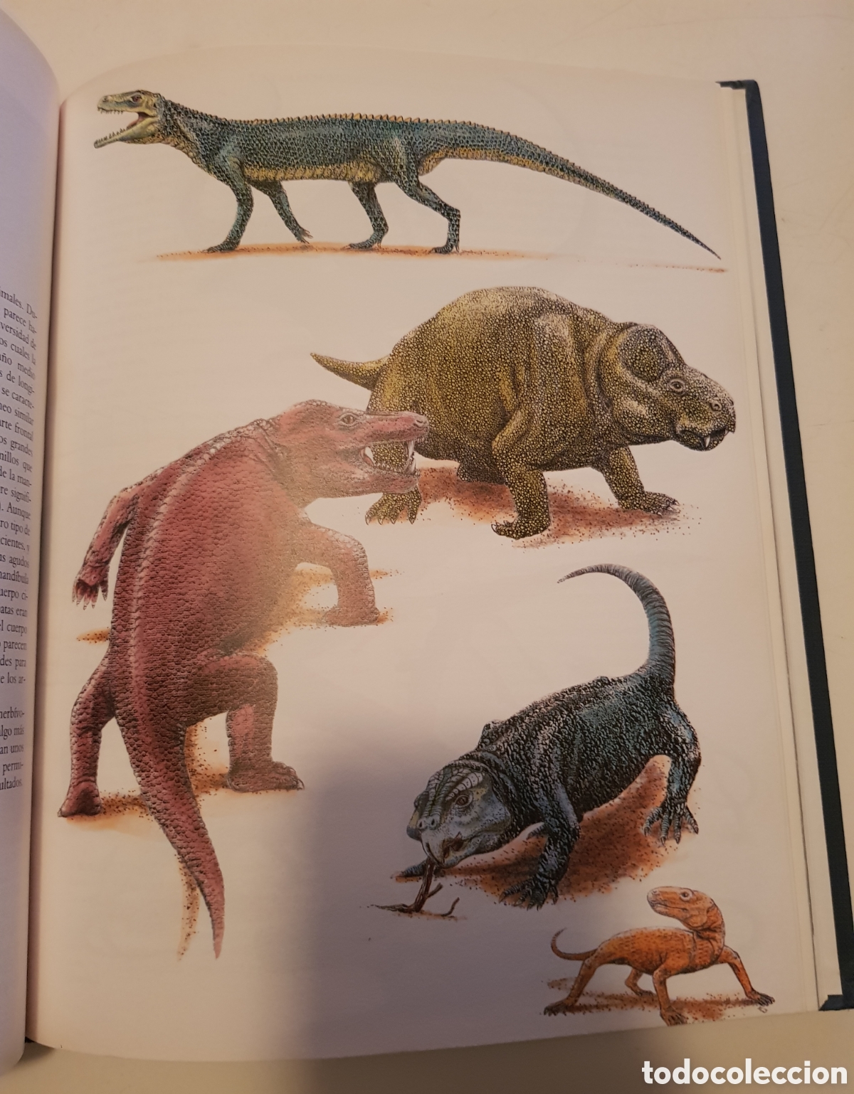 Libros de segunda mano: El mundo de los dinosaurios. David Norman, ediciones del Prado,1993. - Foto 12