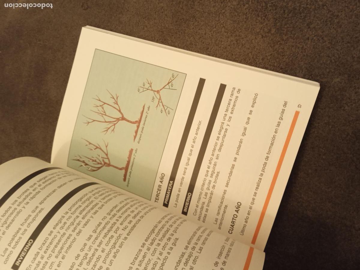 Libros de segunda mano: PODAR E INJERTAR. SANDVIK - Foto 5