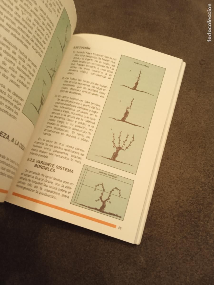 Libros de segunda mano: PODAR E INJERTAR. SANDVIK - Foto 6