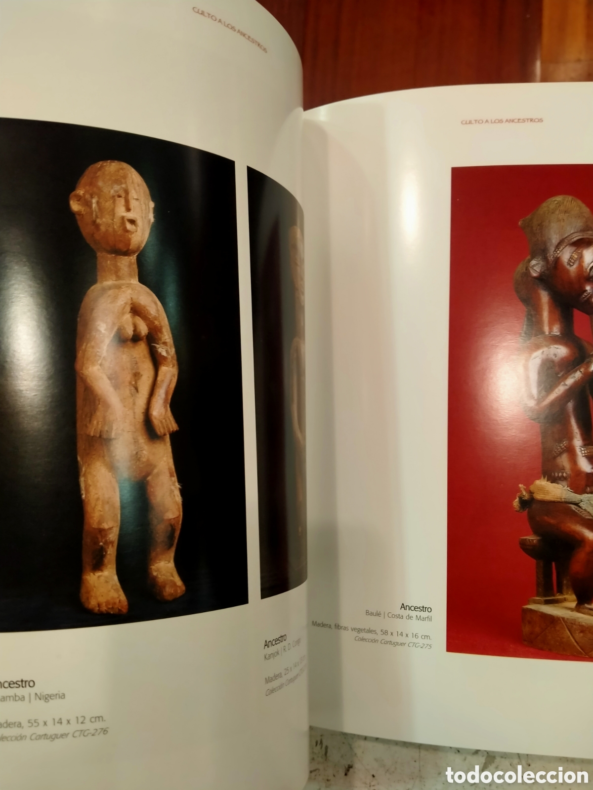 Libros de segunda mano: AFRICA ARTE RITUAL libro - Foto 2