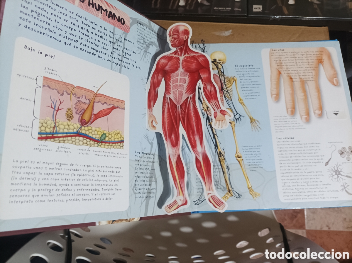 Libros de segunda mano: El cuerpo humano -libro en 3D-libro con despegables - Thomson hawkings y Harris - Foto 3
