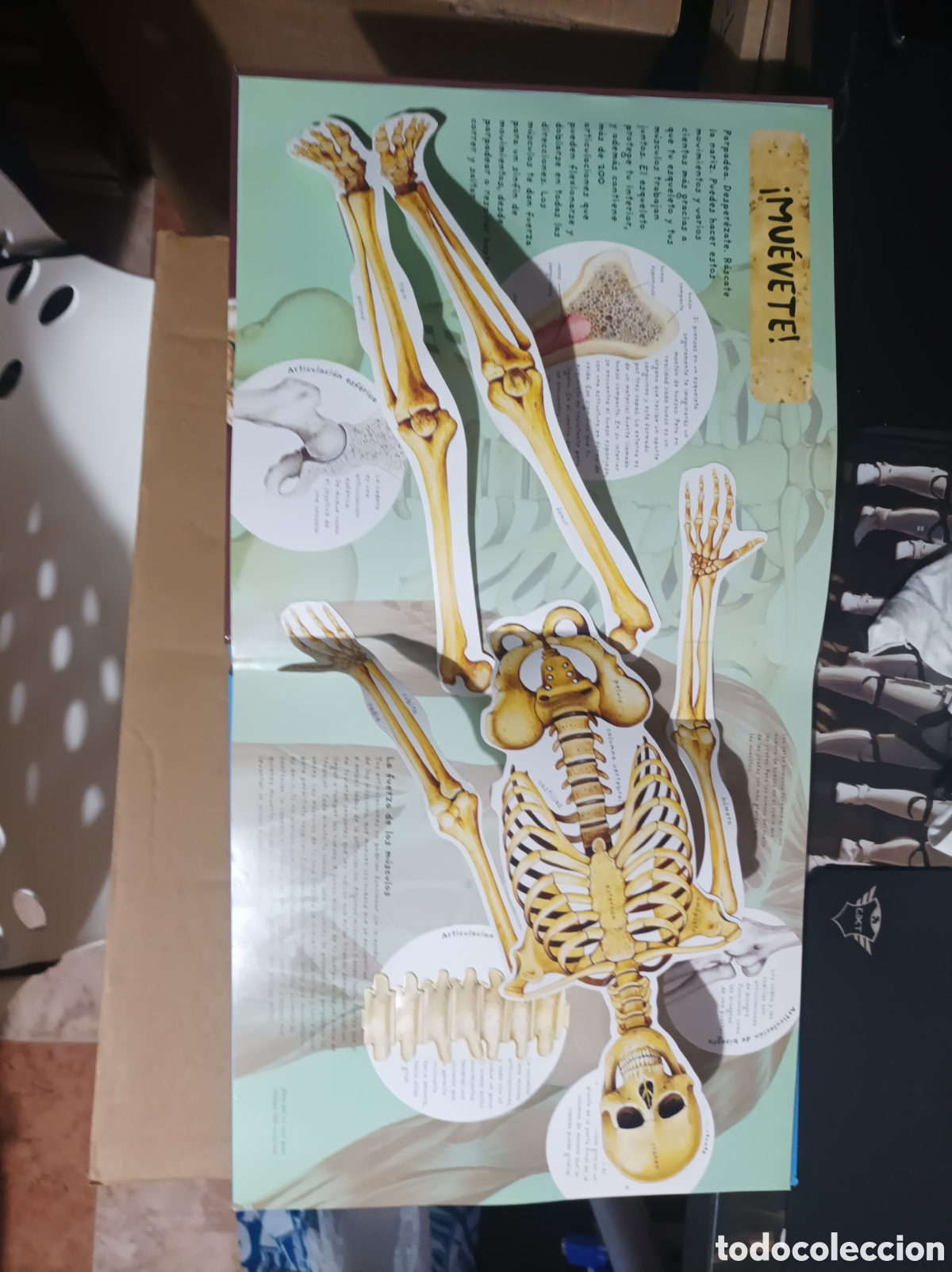 Libros de segunda mano: El cuerpo humano -libro en 3D-libro con despegables - Thomson hawkings y Harris - Foto 5