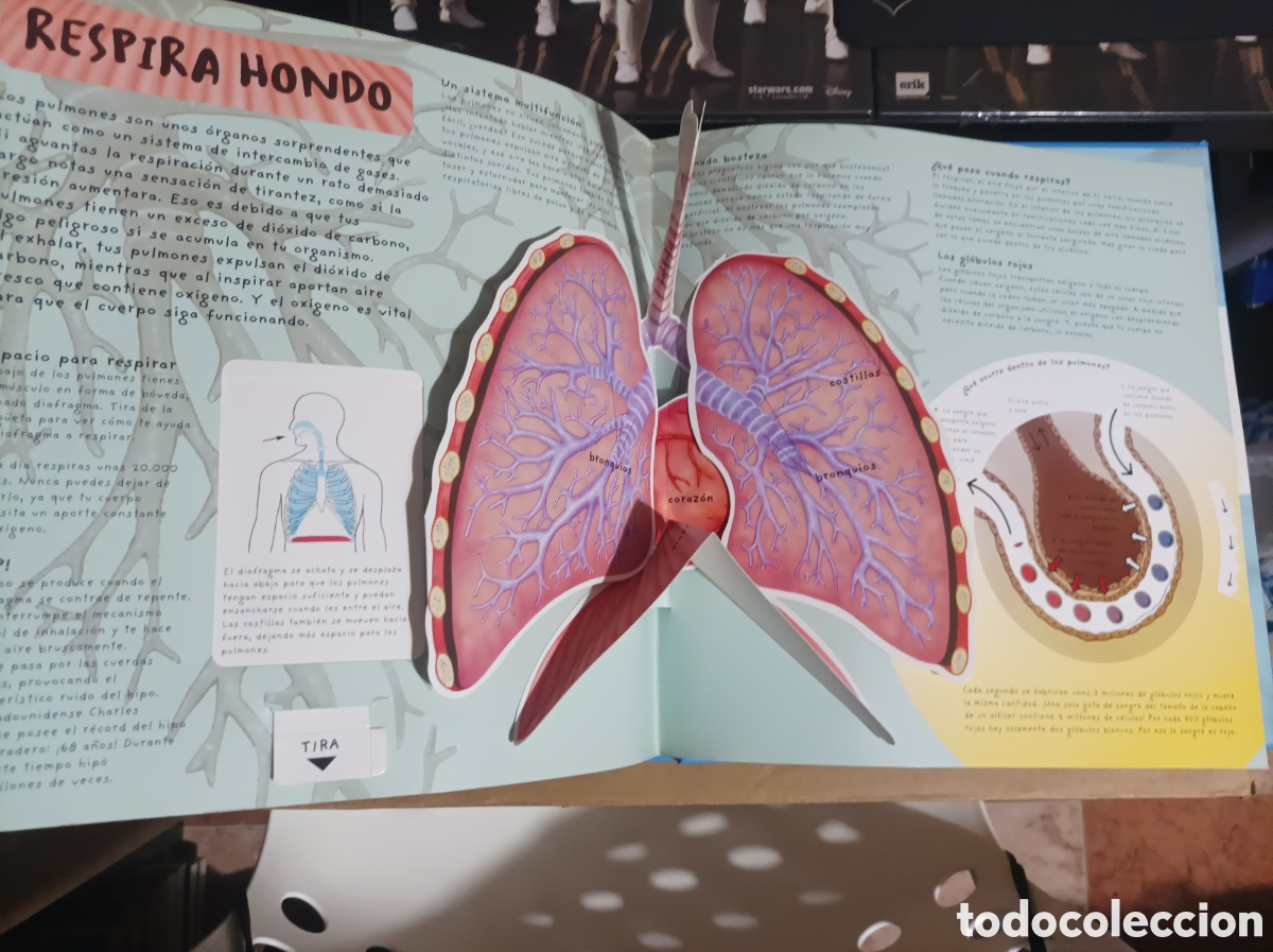 Libros de segunda mano: El cuerpo humano -libro en 3D-libro con despegables - Thomson hawkings y Harris - Foto 6
