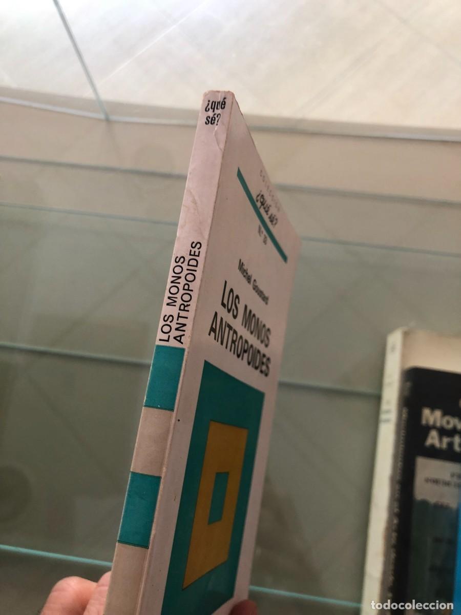 Libros de segunda mano: Los monos antrop&oacute;ides. Michel Goustard - Foto 2