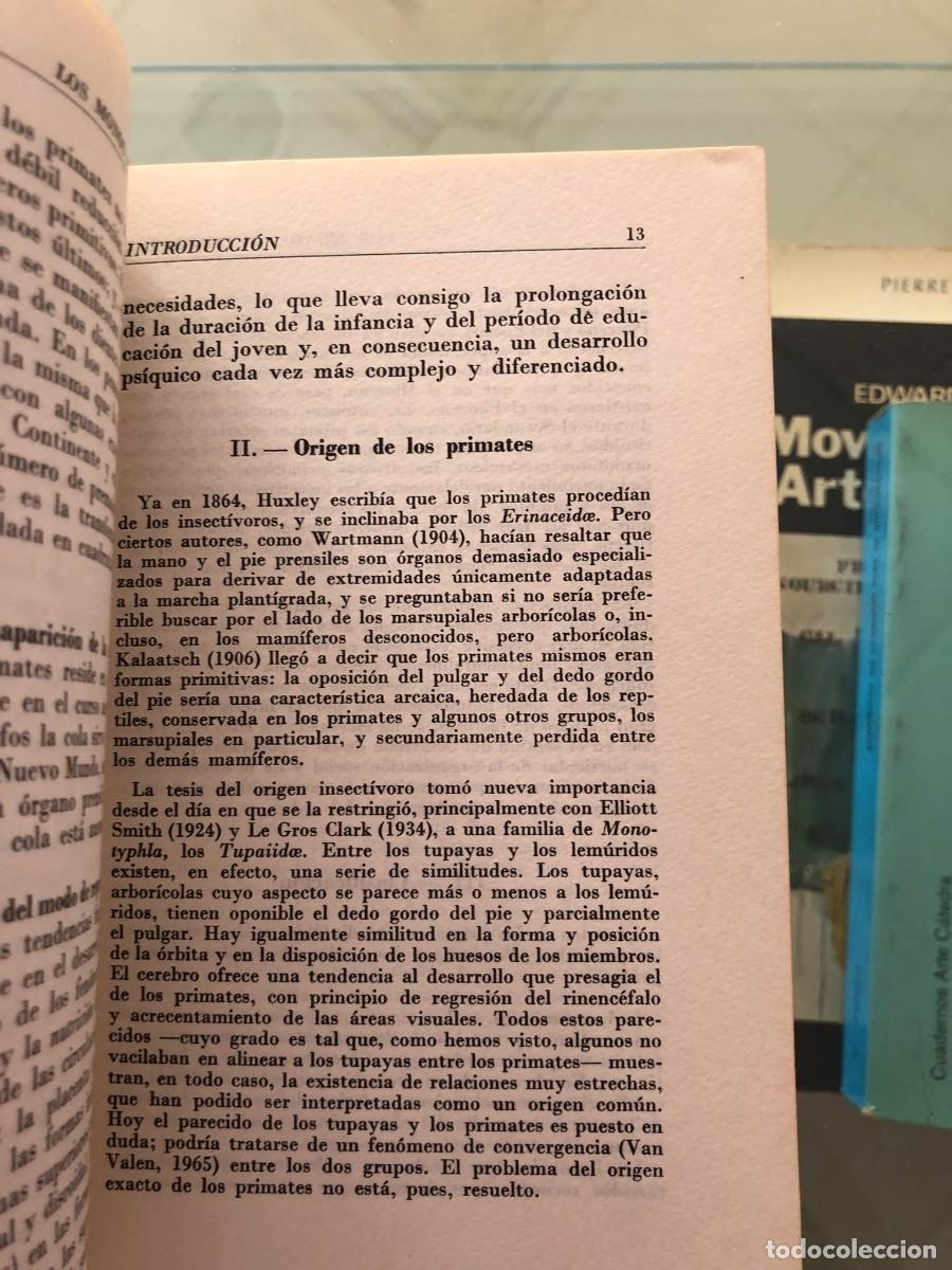 Libros de segunda mano: Los monos antrop&oacute;ides. Michel Goustard - Foto 4