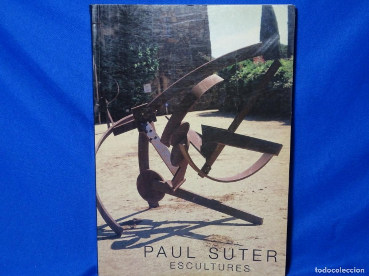 Libri di seconda mano: PAUL SUTER. ESCULTURES. 107 PAG. FUNDACIO CAIXA GIRONA.
