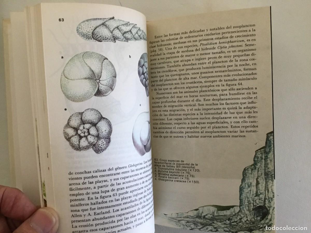 Libros de segunda mano: CURIOSIDADES DEL MAR - Foto 4