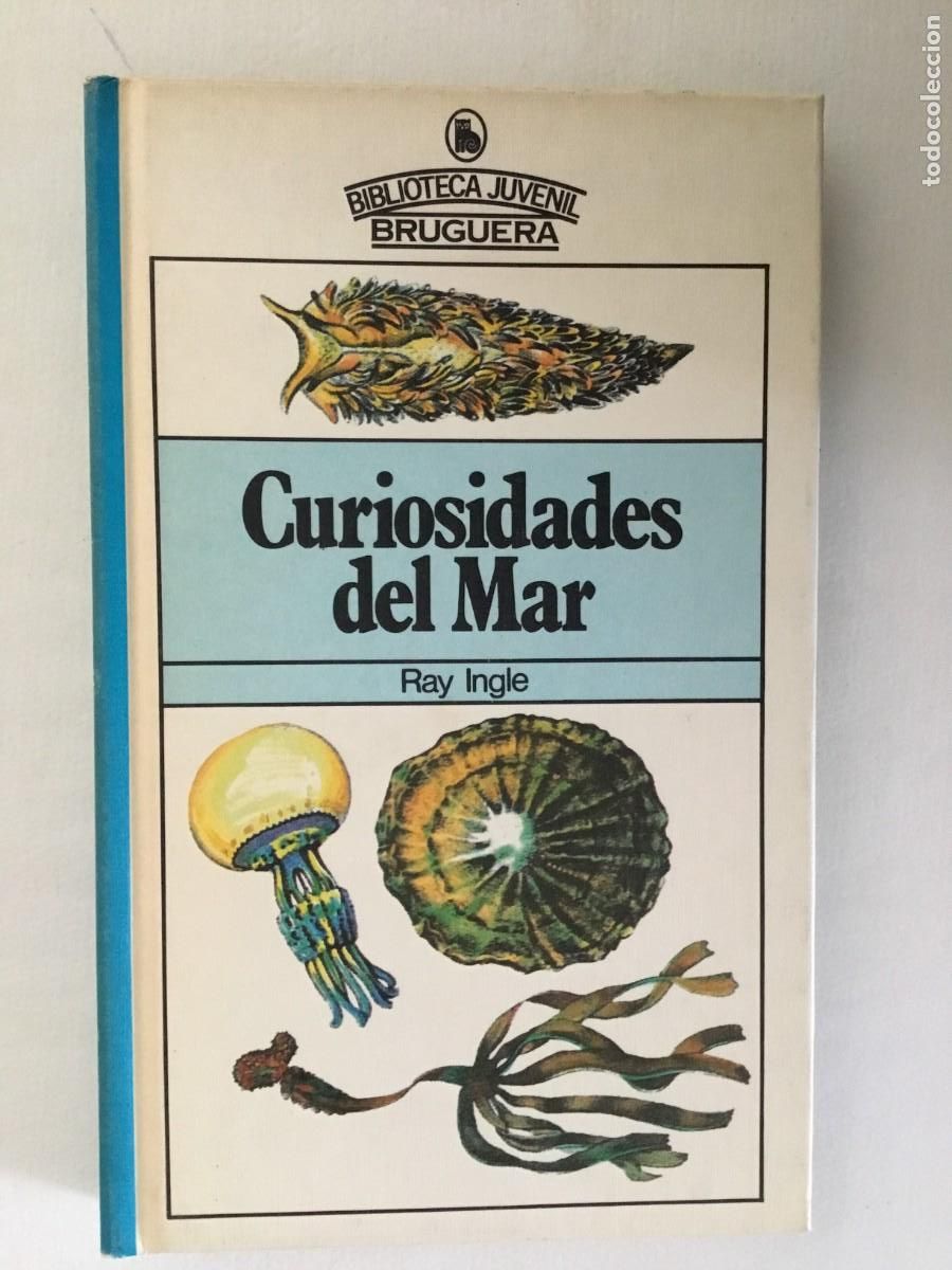 Libros de segunda mano: CURIOSIDADES DEL MAR - Foto 1