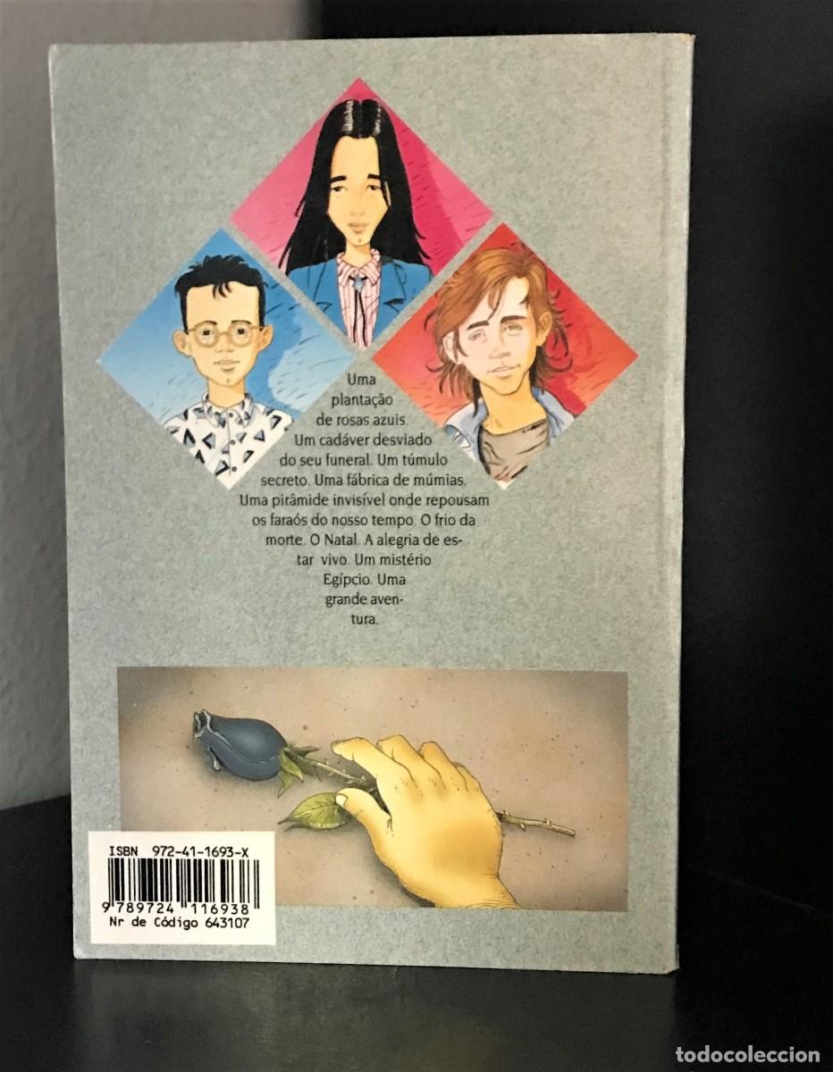 Libros de segunda mano: A Rosa do Egipto de &Aacute;lvaro Magalh&atilde;es - Foto 2