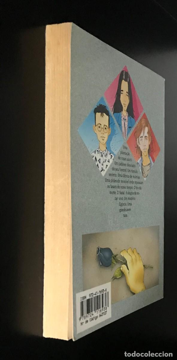 Libros de segunda mano: A Rosa do Egipto de &Aacute;lvaro Magalh&atilde;es - Foto 7