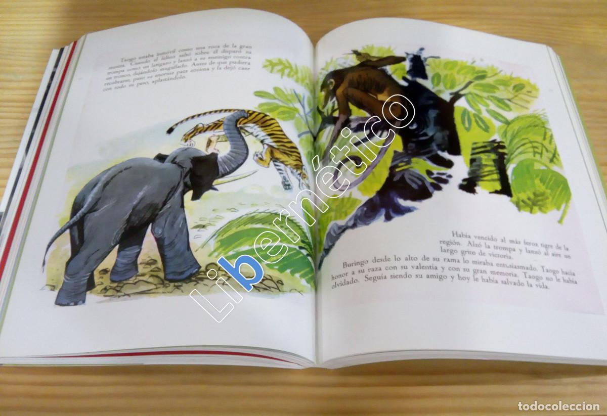 Libros de segunda mano: Pablo Ram&iacute;rez y El libro ilustrado en los a&ntilde;os 50-60 - Foto 4