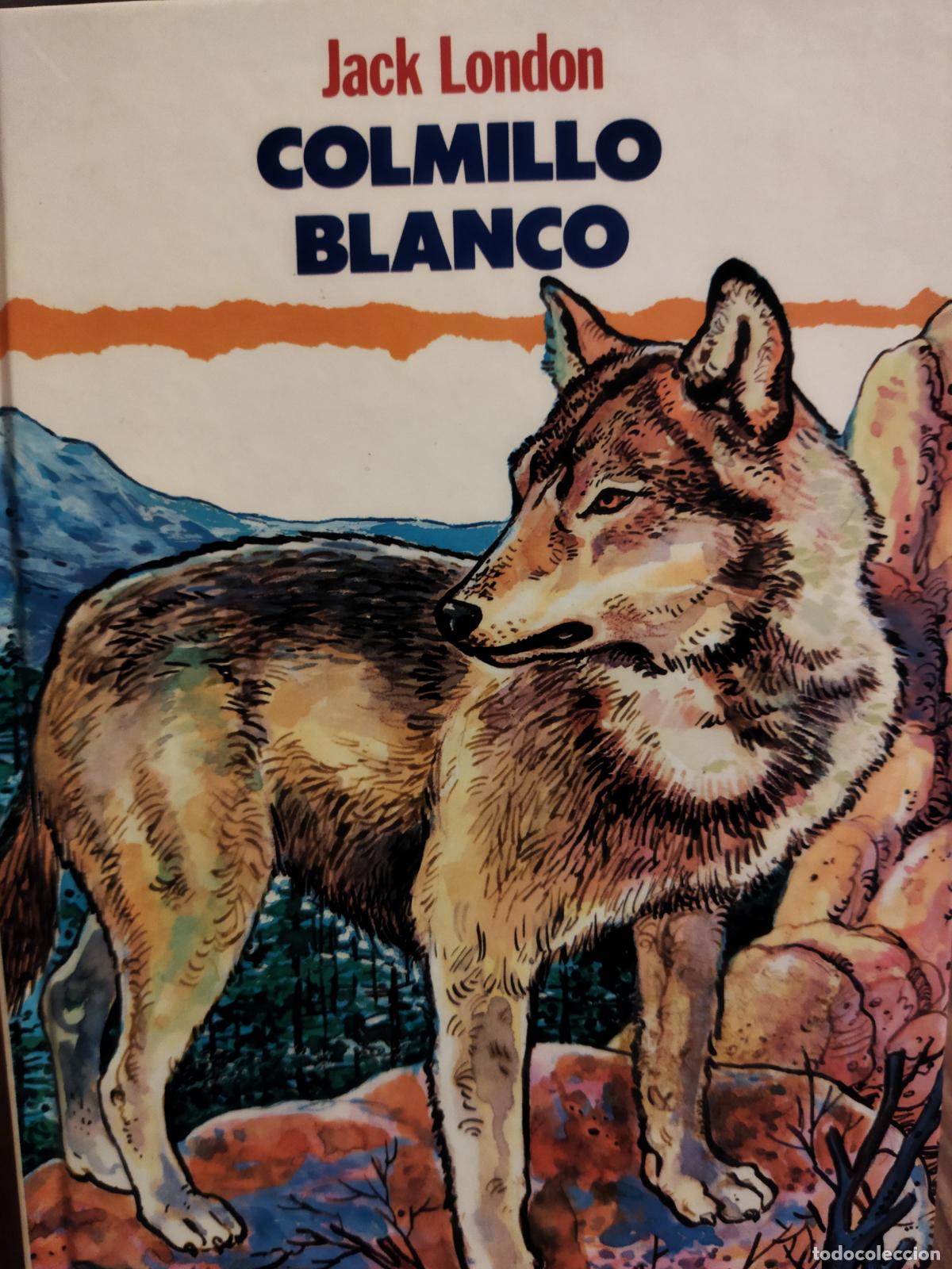 Libros de segunda mano: Colmillo blanco Jack London - Foto 1