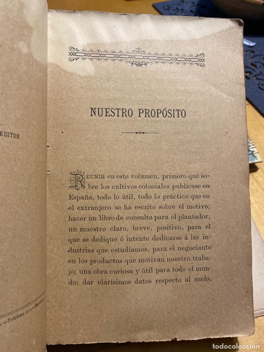 Libros de segunda mano: EL CAFE LA VAINILLA EL CACAO Y EL TE . G. CORNAILLAC. 1902. - Foto 3
