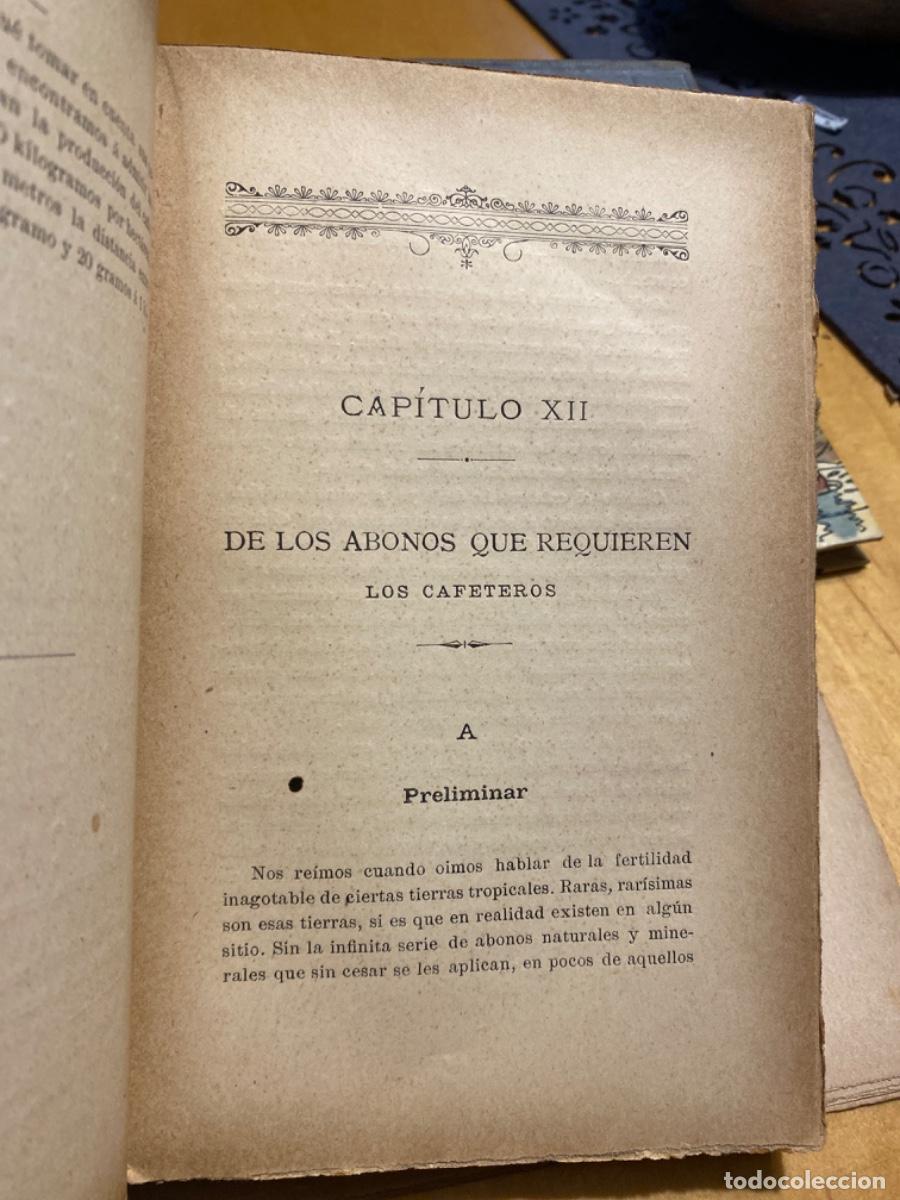 Libros de segunda mano: EL CAFE LA VAINILLA EL CACAO Y EL TE . G. CORNAILLAC. 1902. - Foto 4