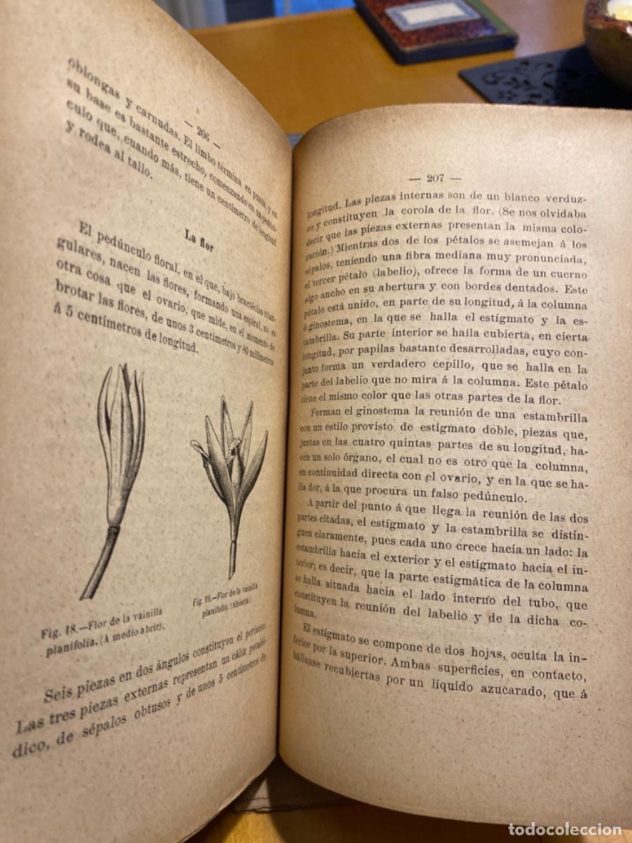 Libros de segunda mano: EL CAFE LA VAINILLA EL CACAO Y EL TE . G. CORNAILLAC. 1902. - Foto 5