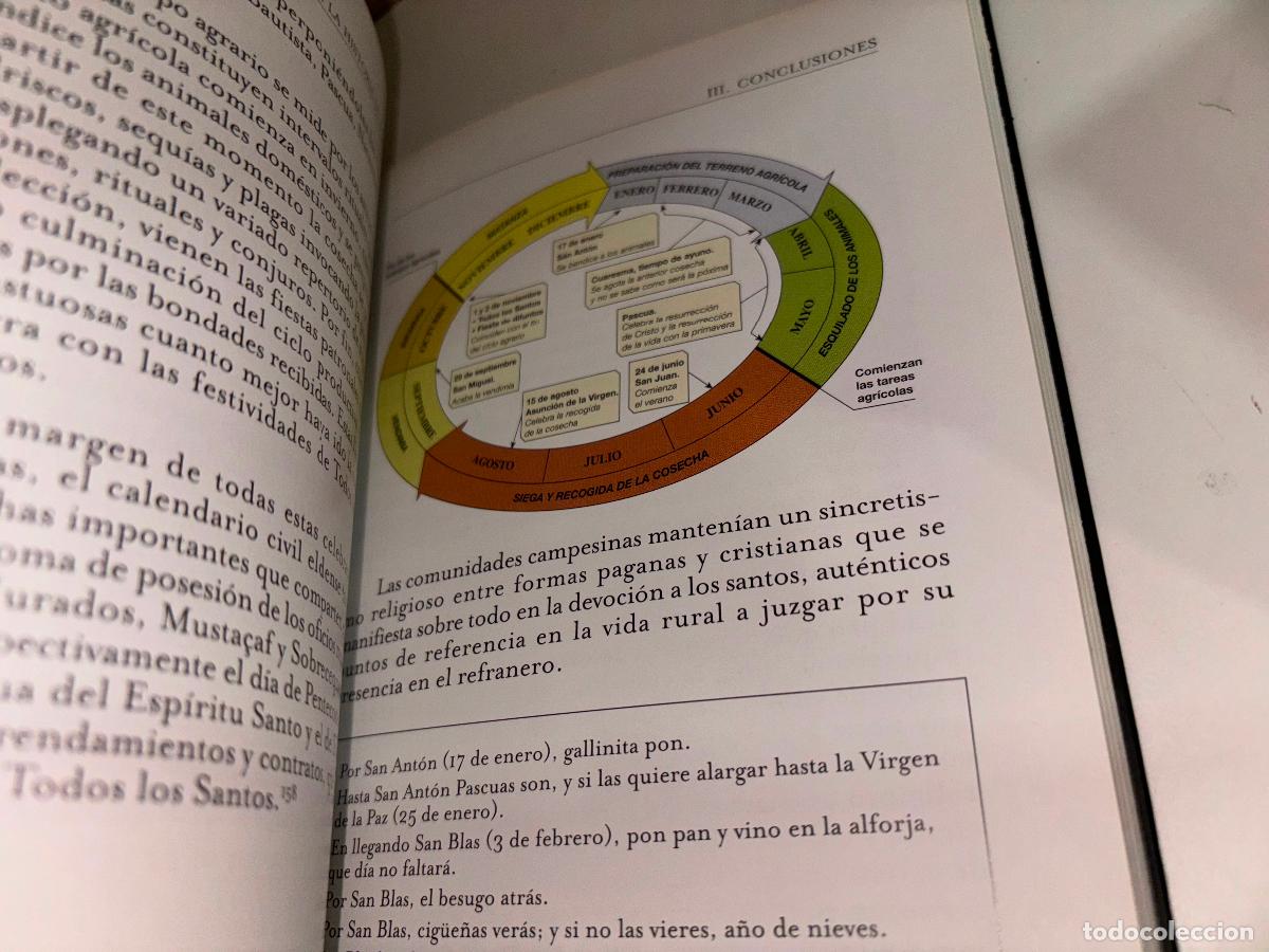 Libros de segunda mano: FUENTES PARA EL ESTUDIO DE LA HISTORIA DE ELDA / JOAQU&Iacute;N SAMPER ALC&Aacute;RAZ / ELDA 2002 - Foto 3