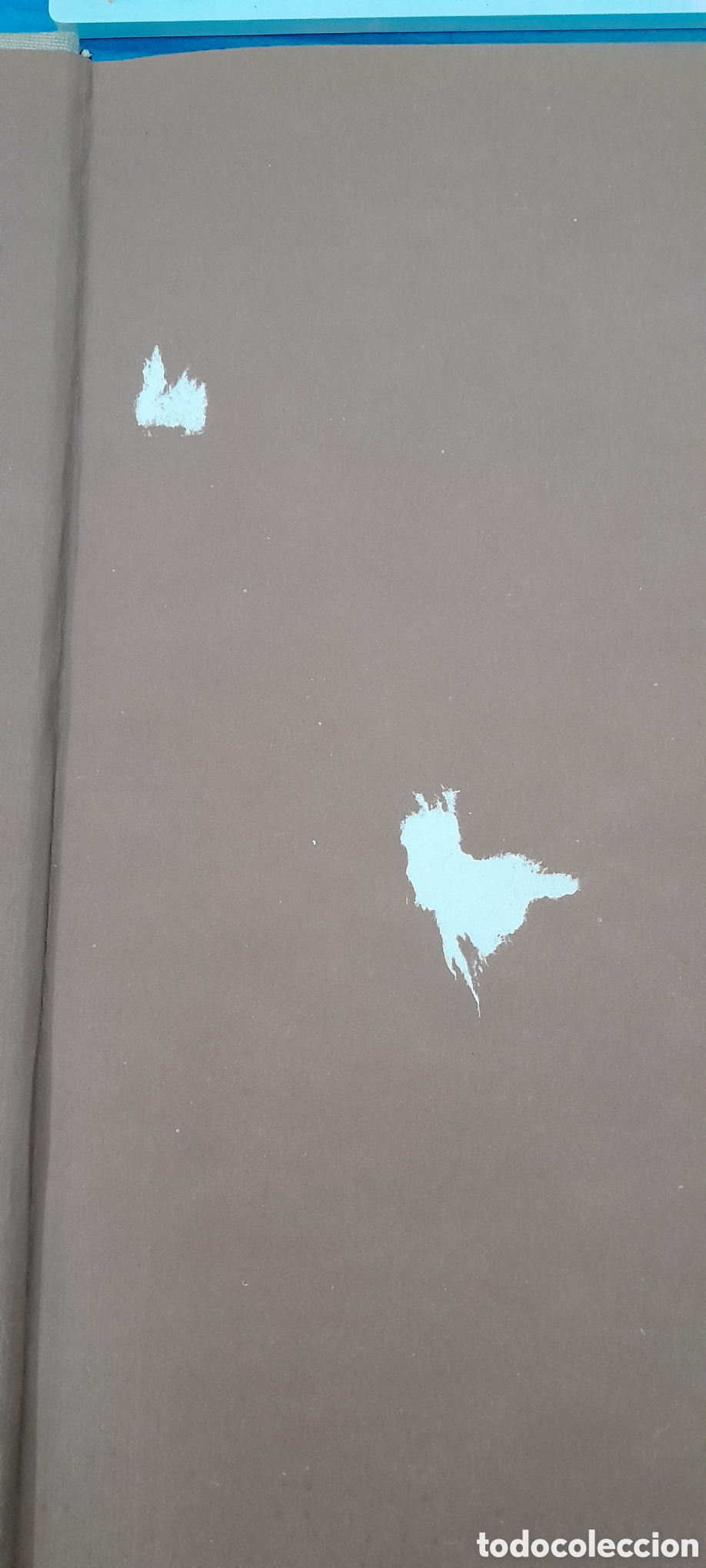 Libros de segunda mano: MIGUEL ANGEL DIBUJOS / PAVEL PREISS - Foto 4