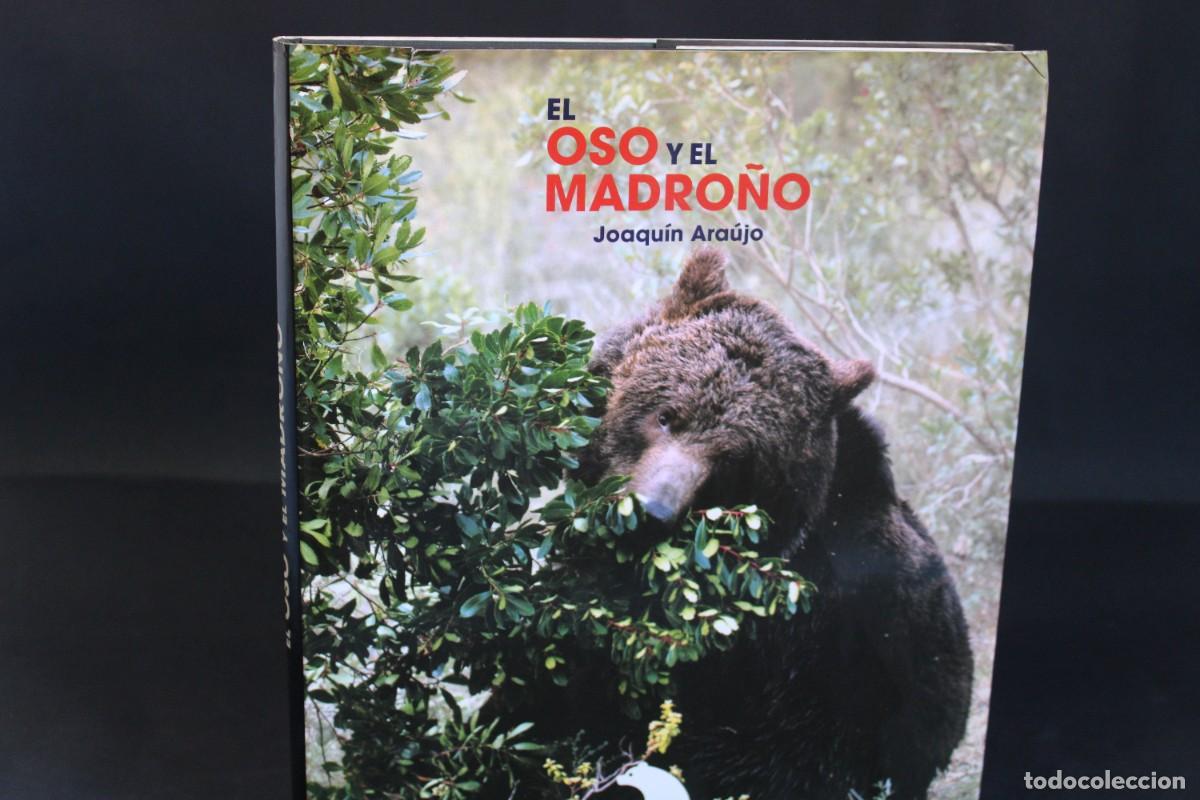 Libros de segunda mano: EL OSO Y EL MADRO&Ntilde;O / JOAQUIN ARAUJO - Foto 1