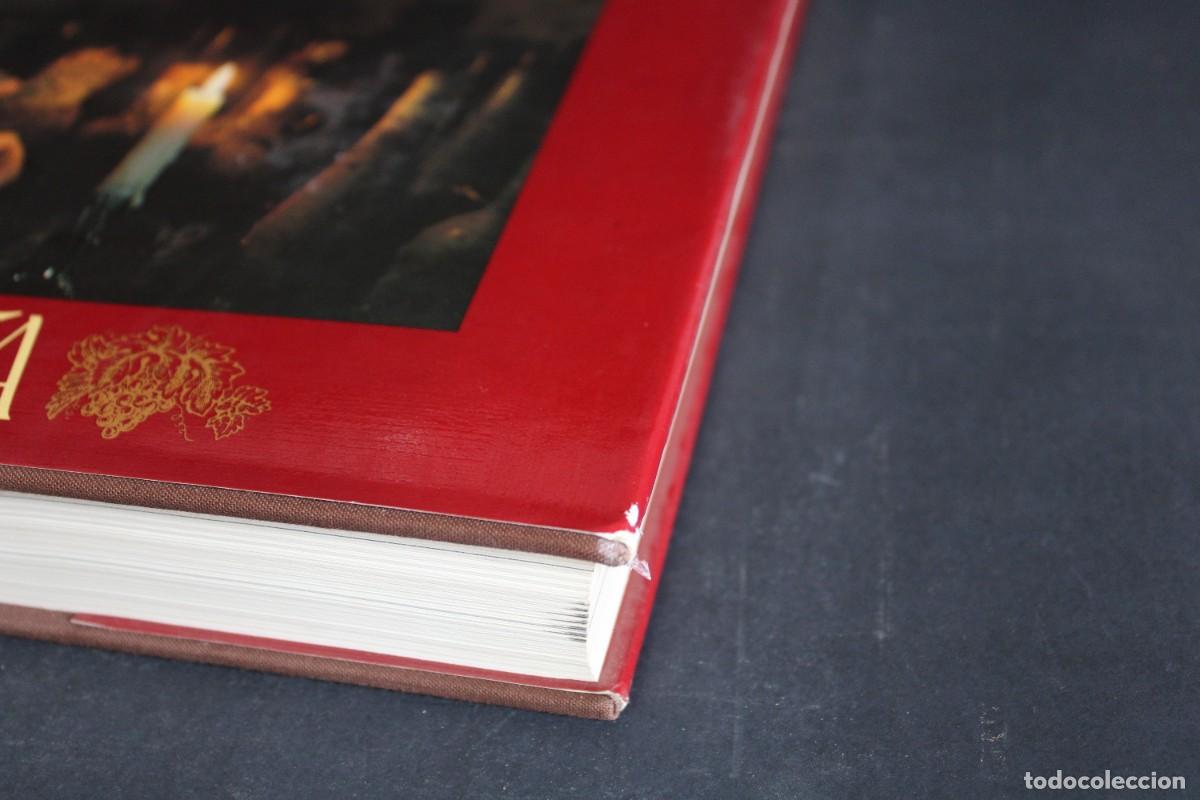 Libros de segunda mano: LOS VINOS DE ESPA&Ntilde;A / EDICIONES CASTELL - Foto 2