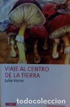 Libros de segunda mano: Viaje al Centro De La Tierra - Julio Verne - Foto 1