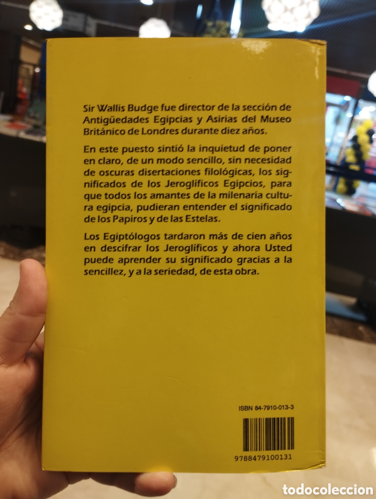 Libros de segunda mano: Jerogl&iacute;ficos egipcios. W. Budge. 1ra ed. Humanitas 1990 - Foto 2