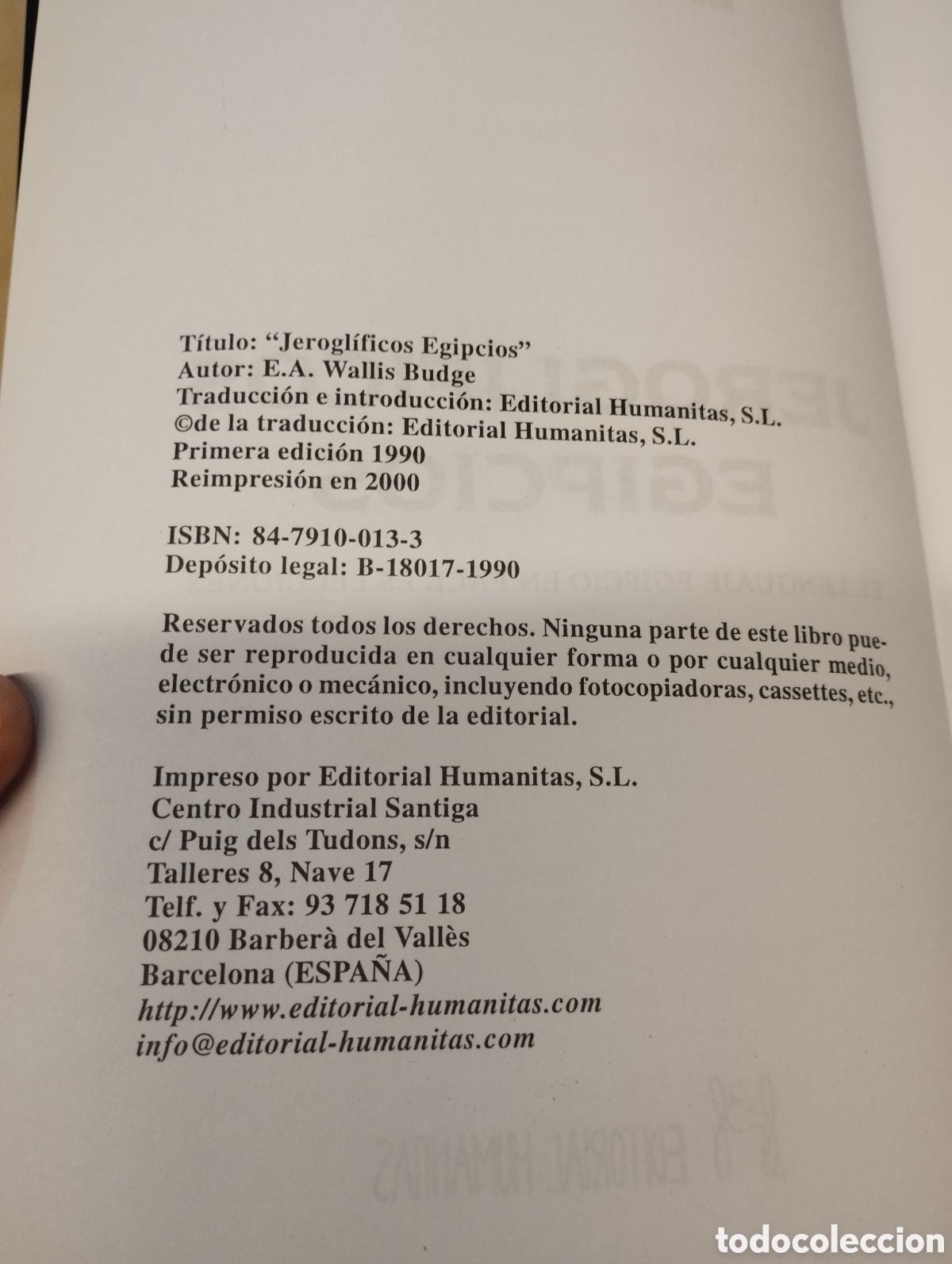 Libros de segunda mano: Jerogl&iacute;ficos egipcios. W. Budge. 1ra ed. Humanitas 1990 - Foto 3