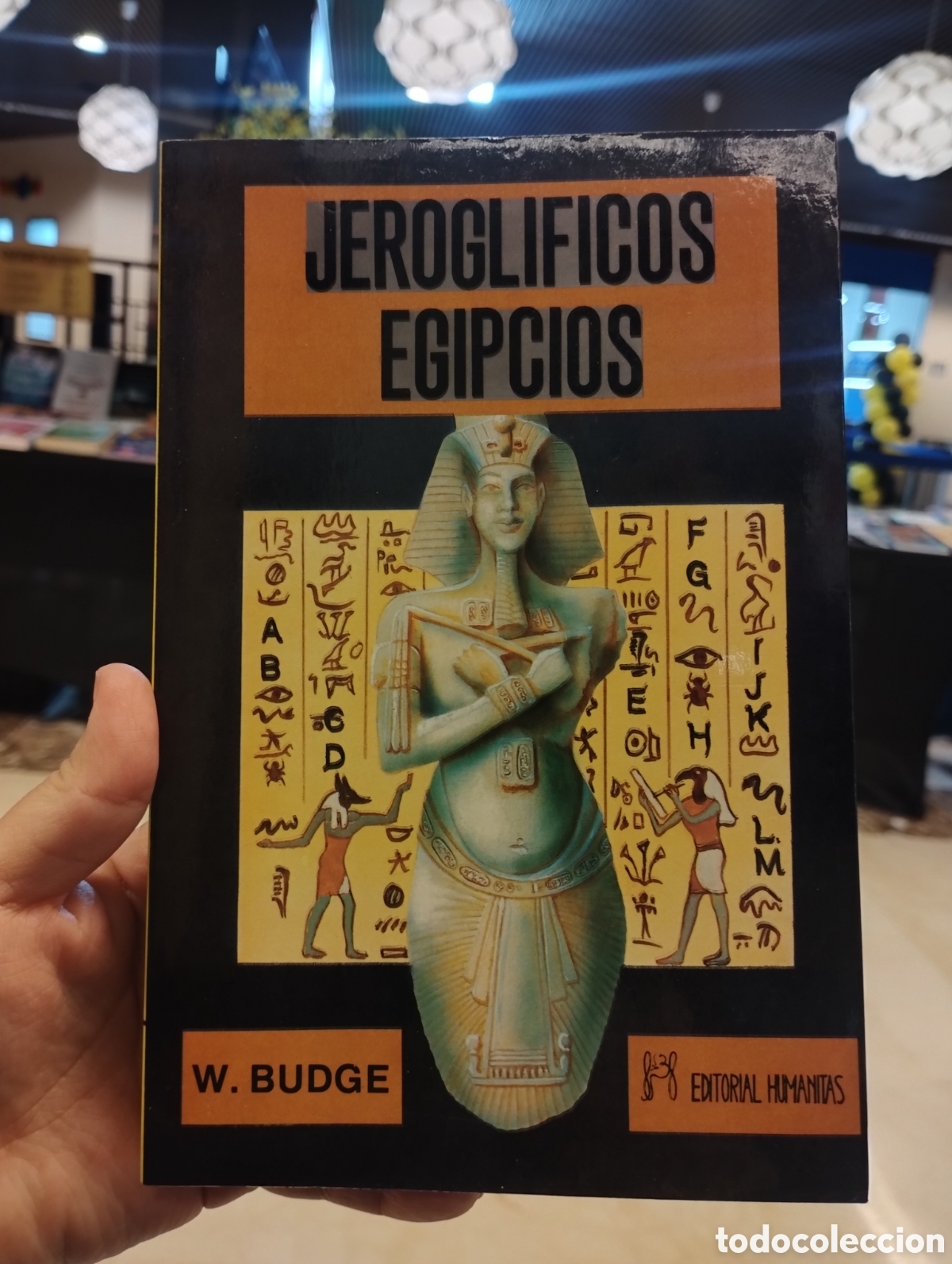 Libros de segunda mano: Jerogl&iacute;ficos egipcios. W. Budge. 1ra ed. Humanitas 1990 - Foto 1
