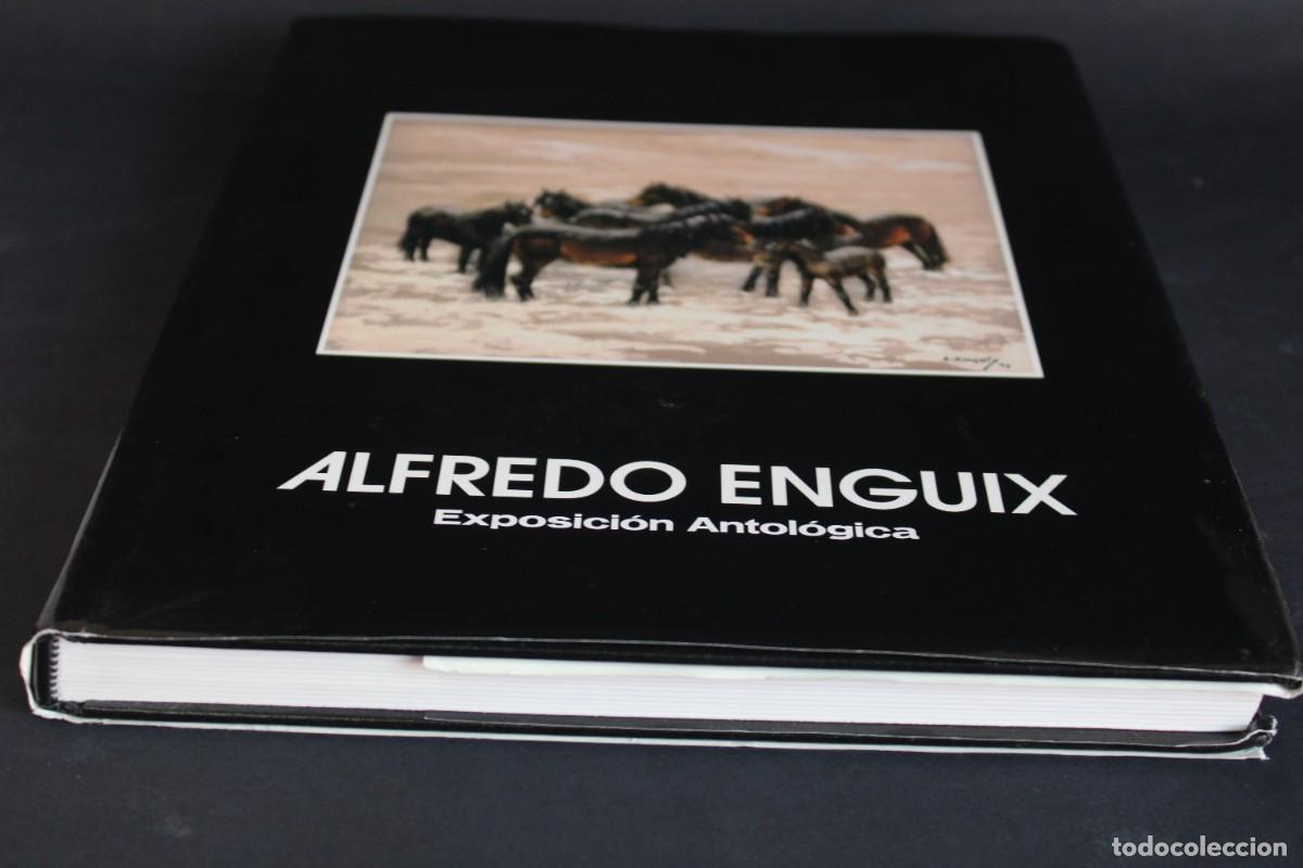 Libros de segunda mano: ALFREDO ENGUIX / EXPOSICION ANTOLOGICA - Foto 2