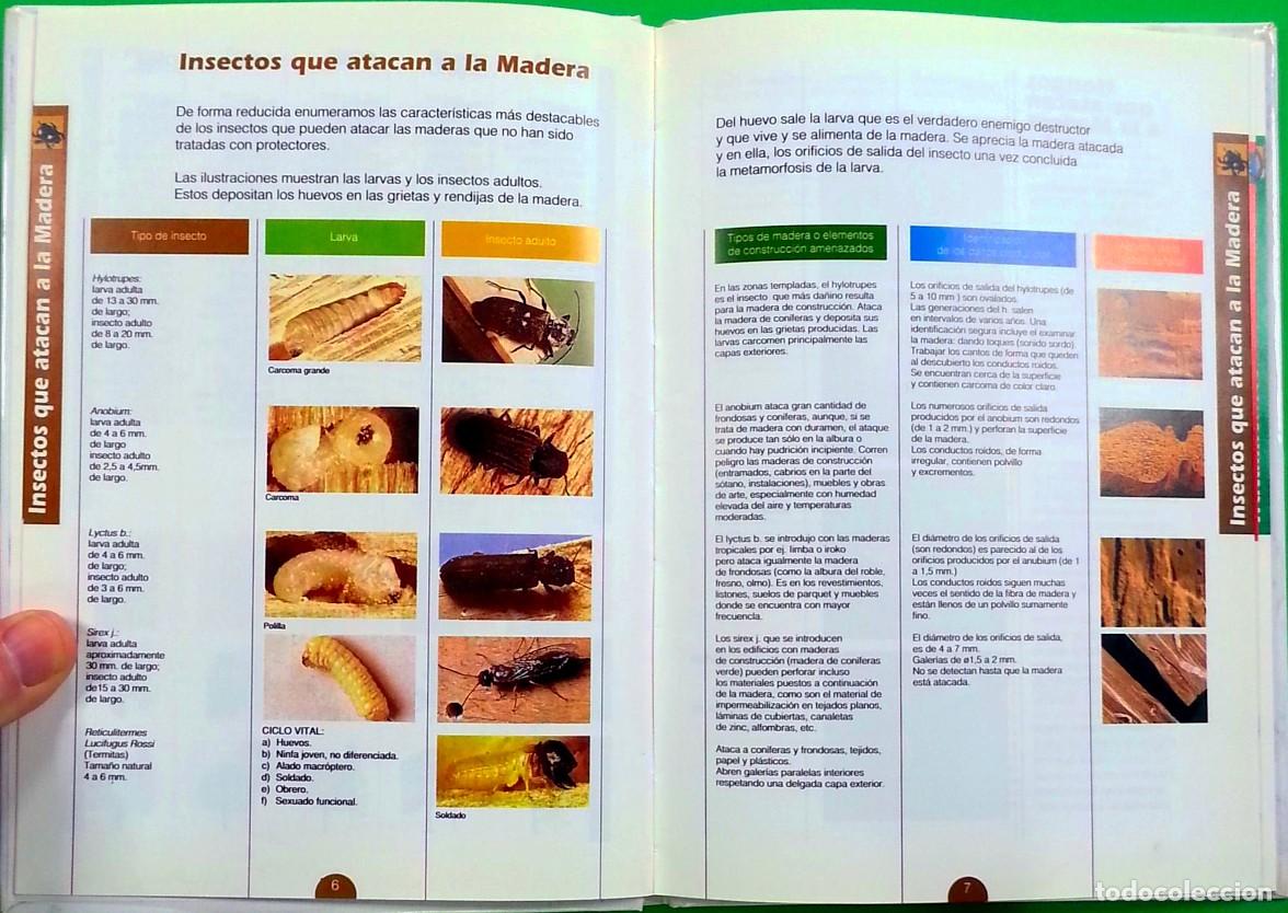 Libros de segunda mano: Manual para la protecci&oacute;n de la madera - Xylazel, s.a. - Foto 3
