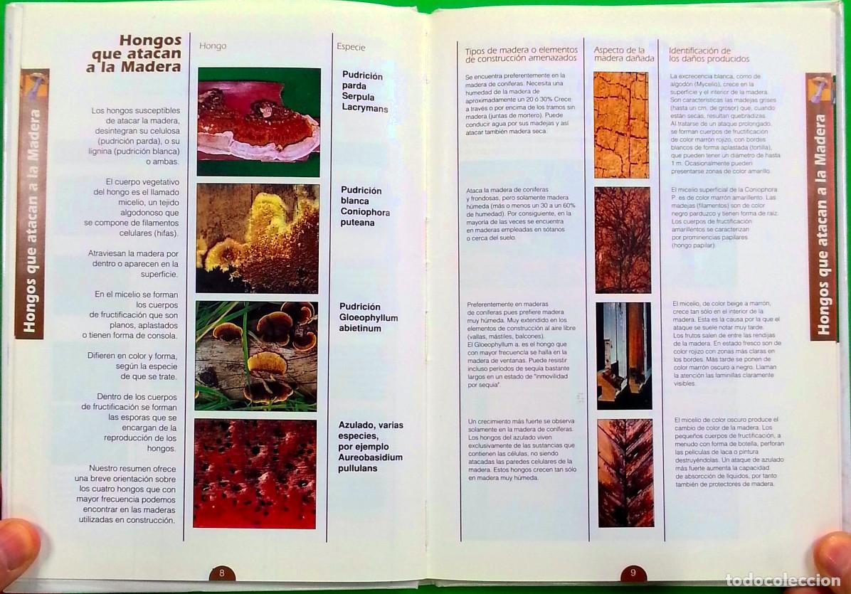 Libros de segunda mano: Manual para la protecci&oacute;n de la madera - Xylazel, s.a. - Foto 4