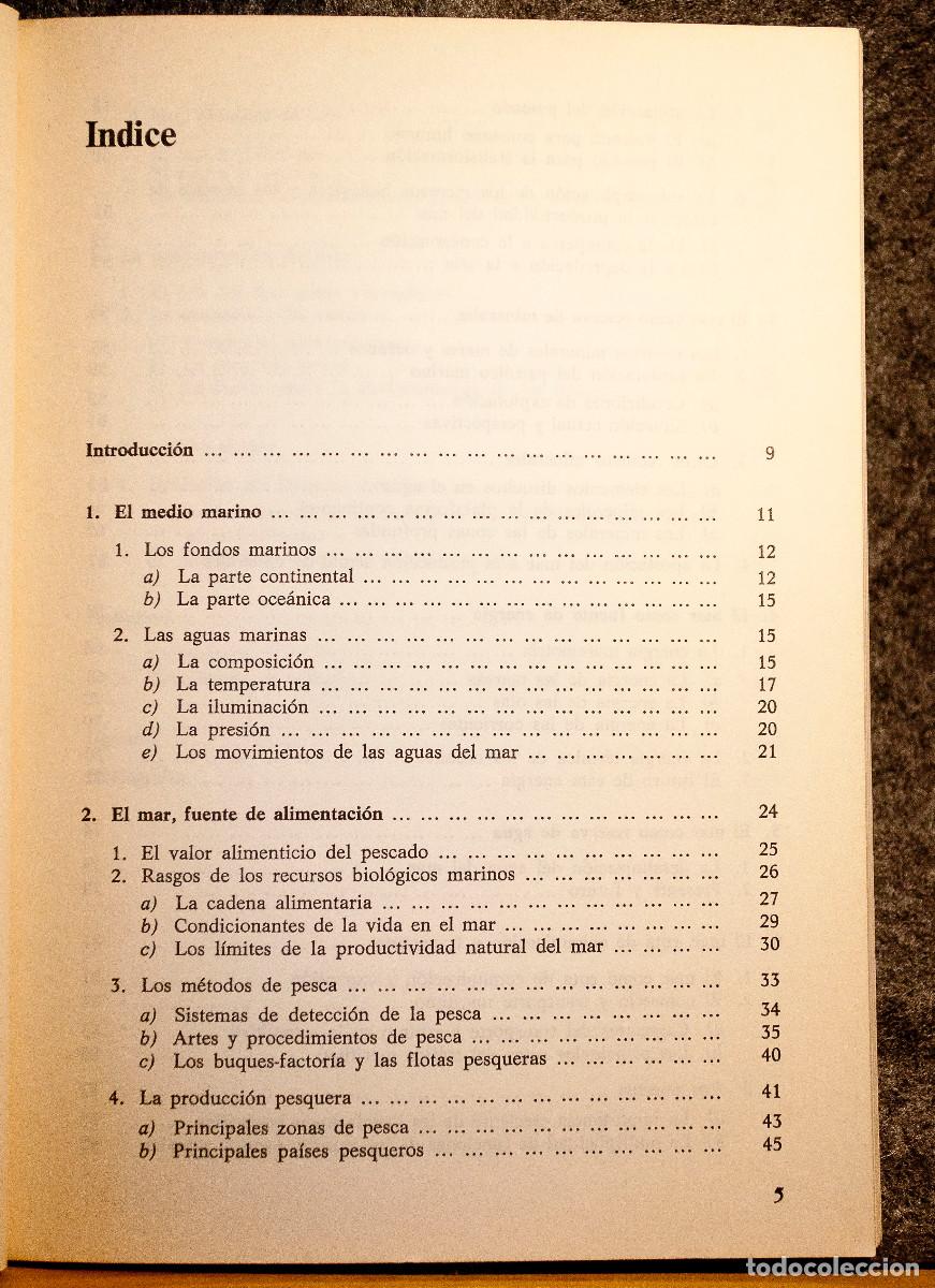 Libros de segunda mano: El mar y sus recursos. Isabel Monguilot. Ed Cincel.1985 - Foto 4
