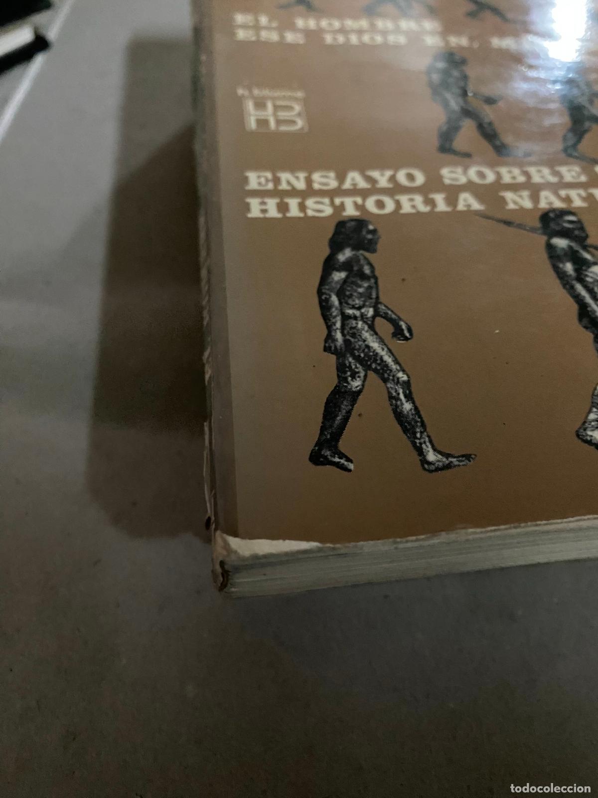 Libros de segunda mano: GRASS&Eacute;, Pierre P. El hombre, ese Dios en miniatura - Foto 3