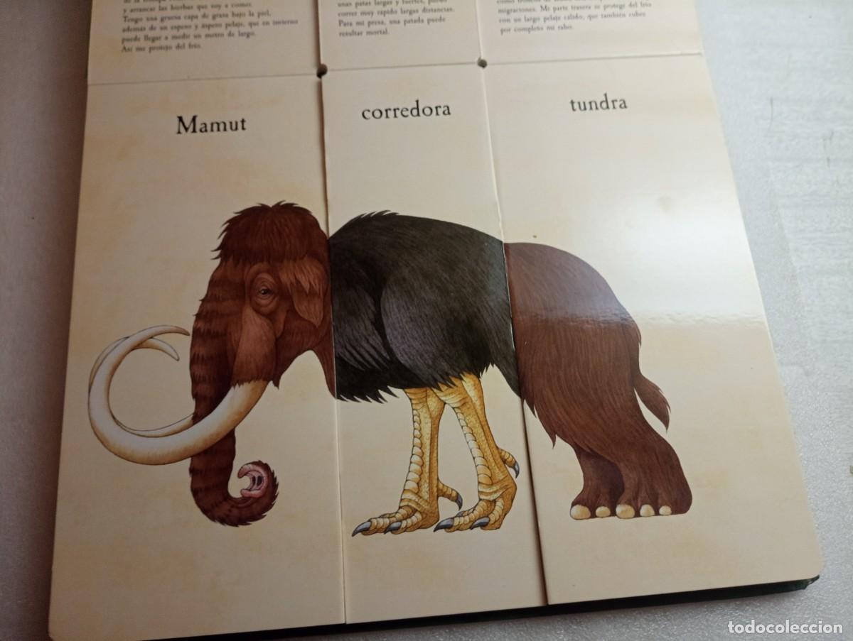 Libros de segunda mano: EL COMBIBESTIARIO | Sara Ball - Foto 3