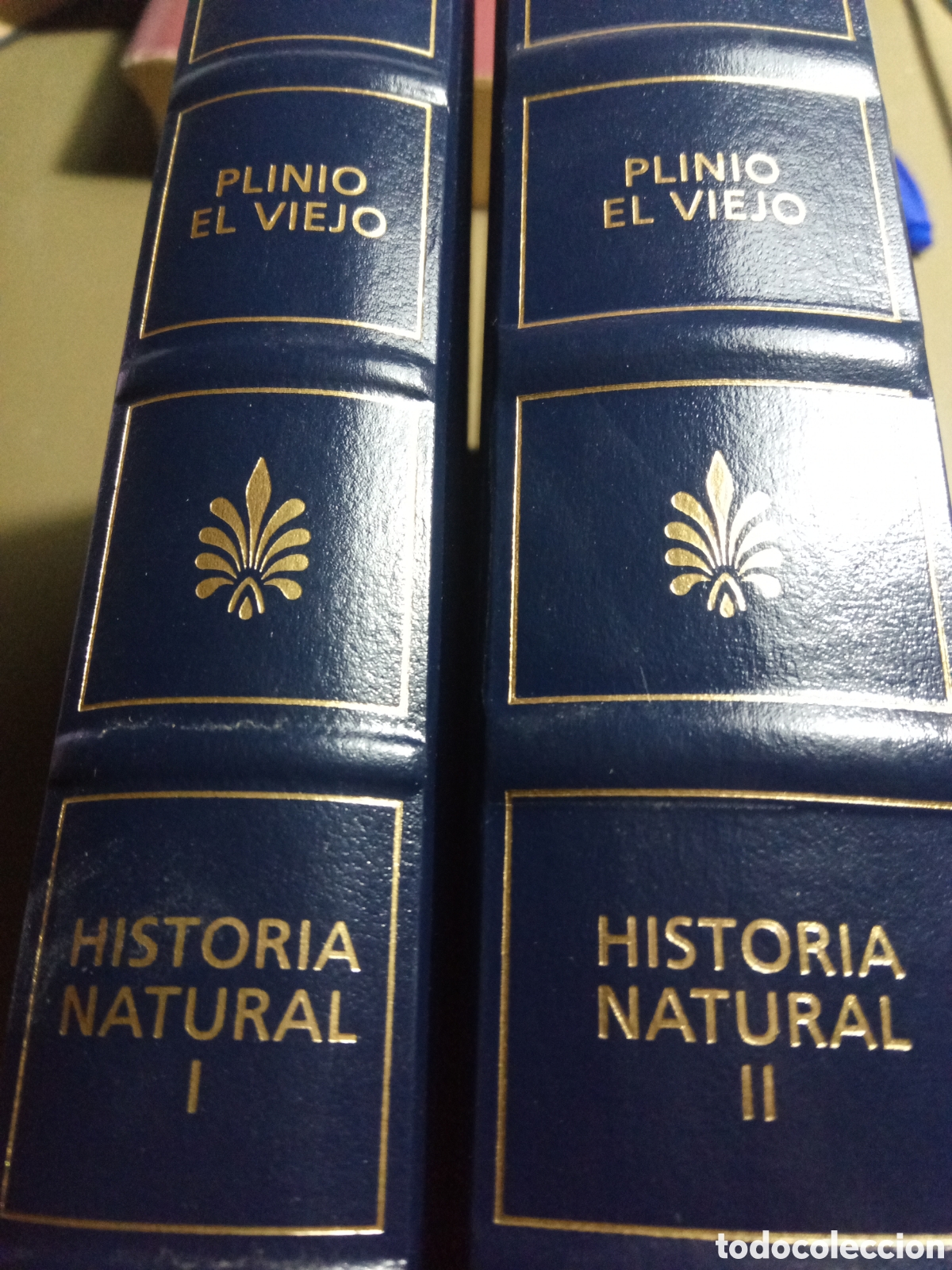 Libros de segunda mano: Historia natural. Plinio el viejo - Foto 2