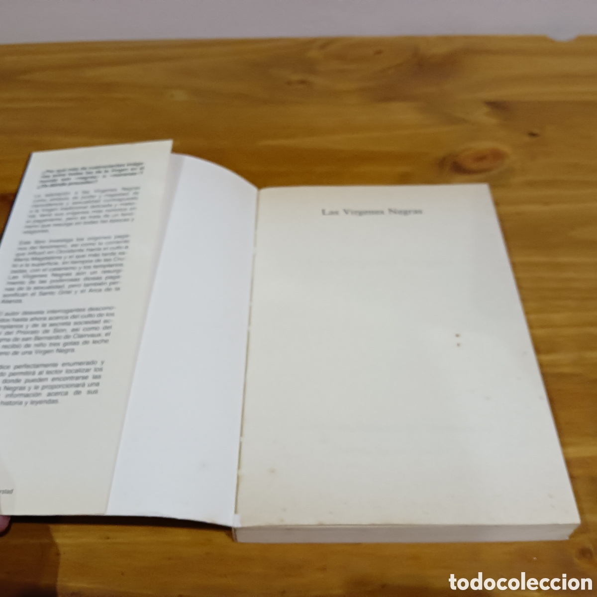 Libros de segunda mano: Las v&iacute;rgenes negras. Mart&iacute;nez Roca - Foto 2