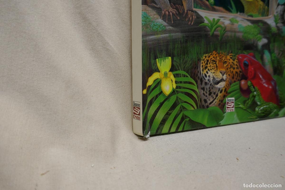 Libros de segunda mano: Animals Nocturns - La vida de nit a la selva tropical (en Catalan) - Foto 2