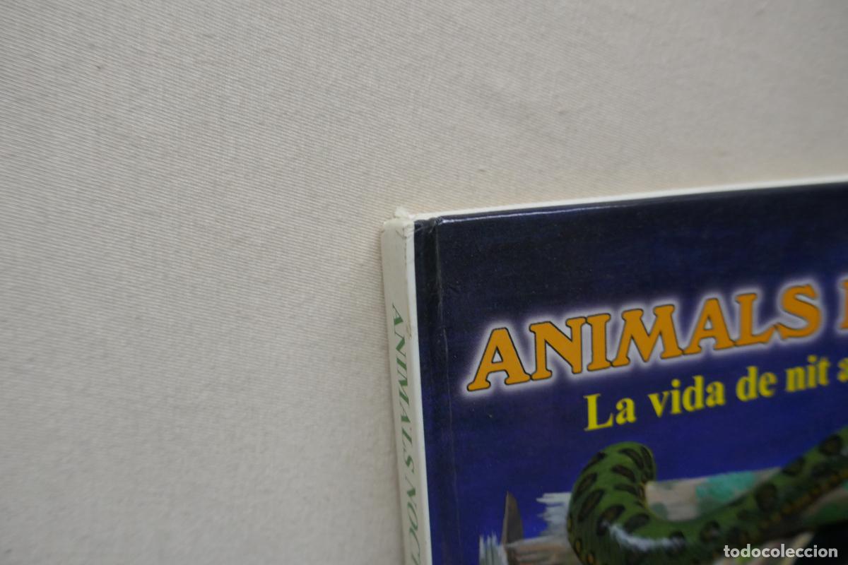 Libros de segunda mano: Animals Nocturns - La vida de nit a la selva tropical (en Catalan) - Foto 3