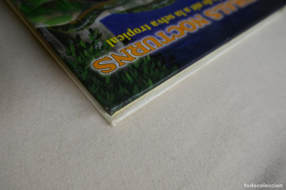 Libros de segunda mano: Animals Nocturns - La vida de nit a la selva tropical (en Catalan) - Foto 5