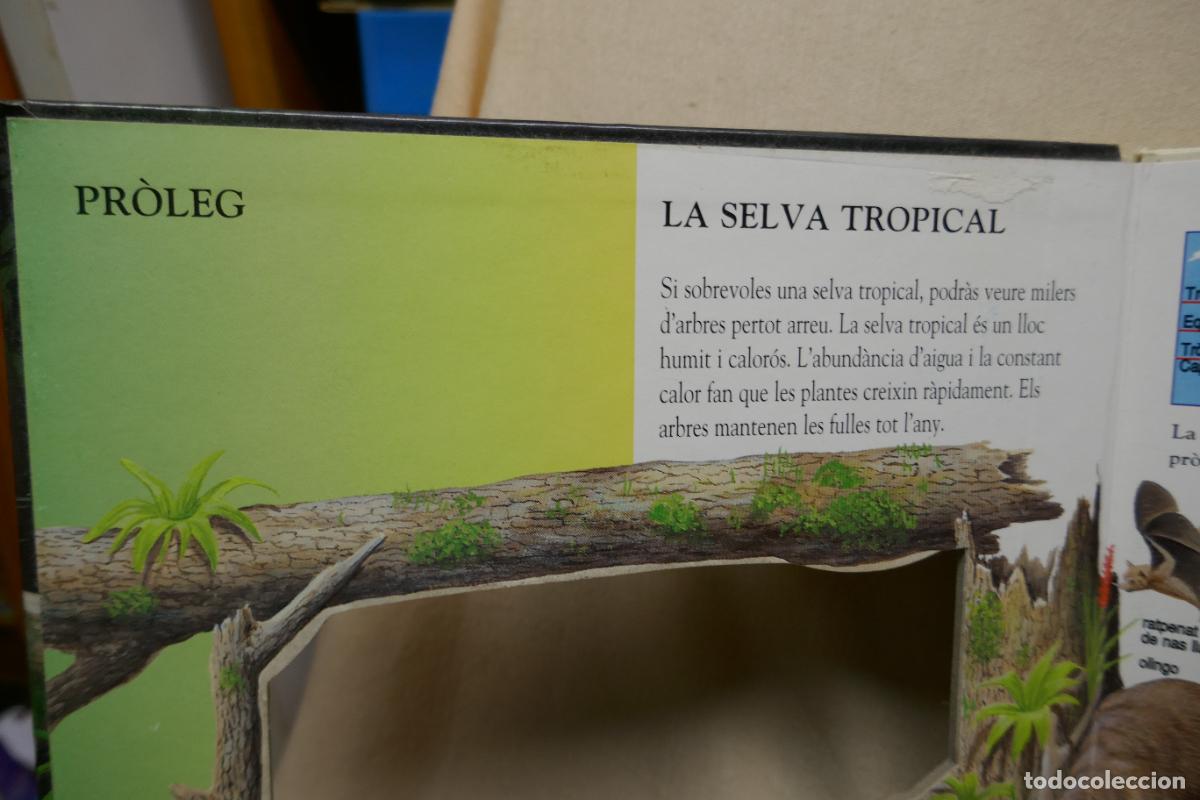 Libros de segunda mano: Animals Nocturns - La vida de nit a la selva tropical (en Catalan) - Foto 6