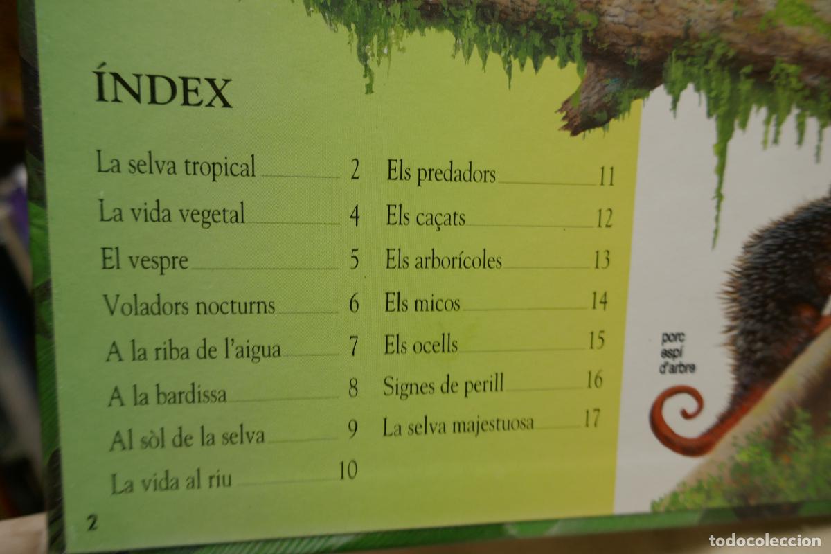 Libros de segunda mano: Animals Nocturns - La vida de nit a la selva tropical (en Catalan) - Foto 7