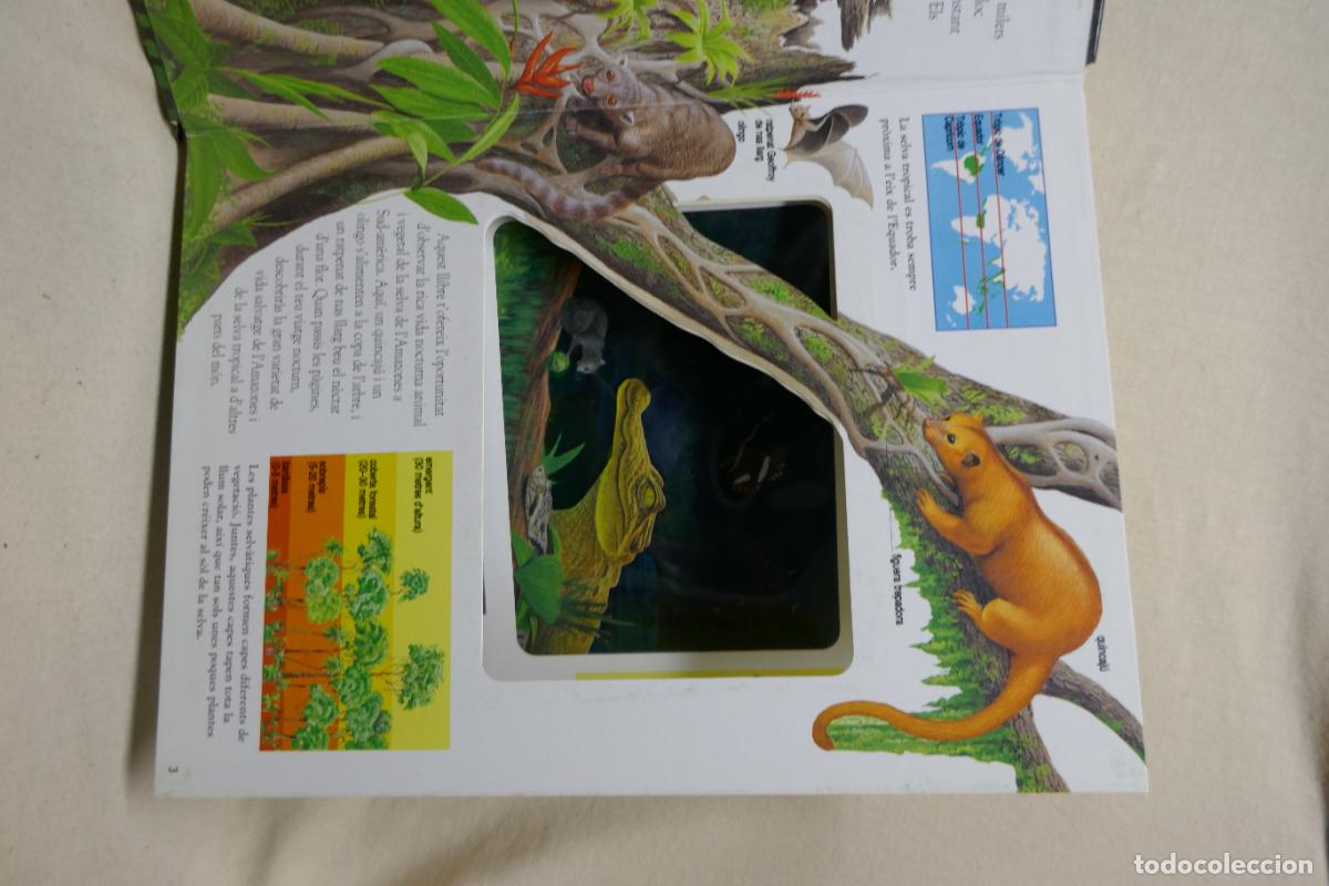 Libros de segunda mano: Animals Nocturns - La vida de nit a la selva tropical (en Catalan) - Foto 8