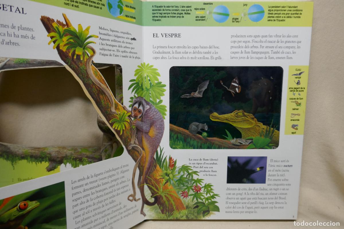 Libros de segunda mano: Animals Nocturns - La vida de nit a la selva tropical (en Catalan) - Foto 9
